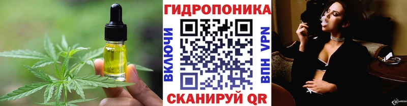 блэк спрут как войти  Островной  Cannafood марихуана 