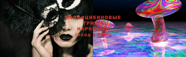 PSILOCYBIN Алексеевка