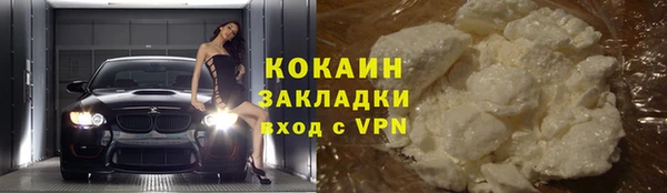 гидра Михайловск