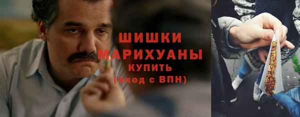 PSILOCYBIN Алексеевка