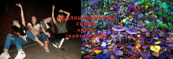 PSILOCYBIN Алексеевка