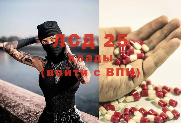 хмурый Алексин