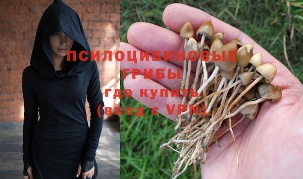 шишки Михайлов
