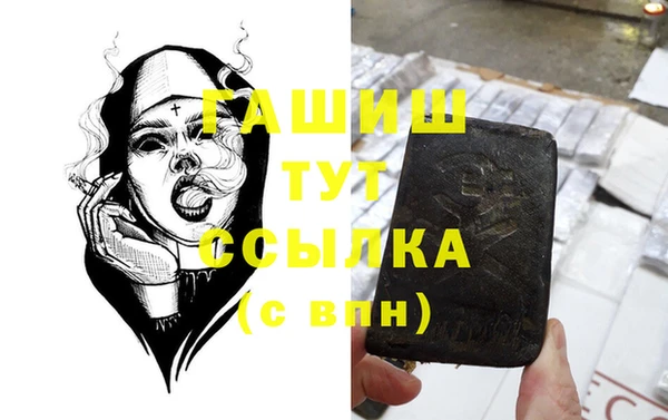 хмурый Алексин