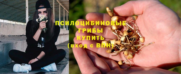 хмурый Алексин